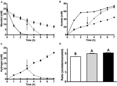 Homoacetogenic Conversion of Mannitol by the Thermophilic Acetogenic Bacterium Thermoanaerobacter kivui Requires External CO2